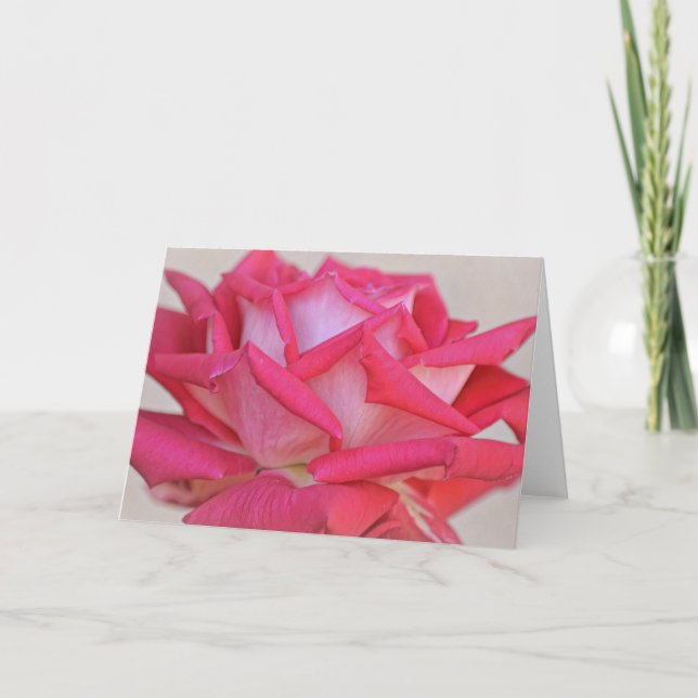 Söt Rosa ros-fotokonturteckningskort Kort (Framsida)