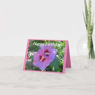 Söt Rosa ros i Sharon Photo Birthday Kort