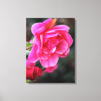 Söt Rosa ros Kanvastryck