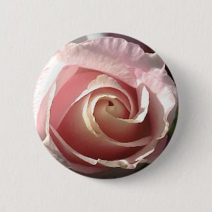 Söt rosa ros knapp