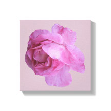 Söt rosa ros modern blommigt, enkel bra konst