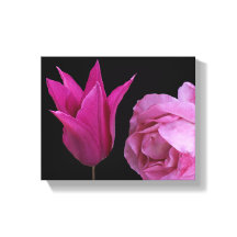 Söt rosa ros och tulpanblommor, modern blommigt