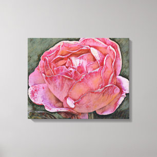 Söt Rosa ros Photographic Art Print Canvastryck