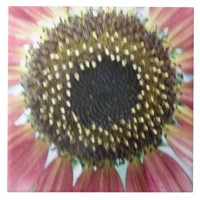 Söt Rosa Solrosbrile Kakelplatta (Framsidan)