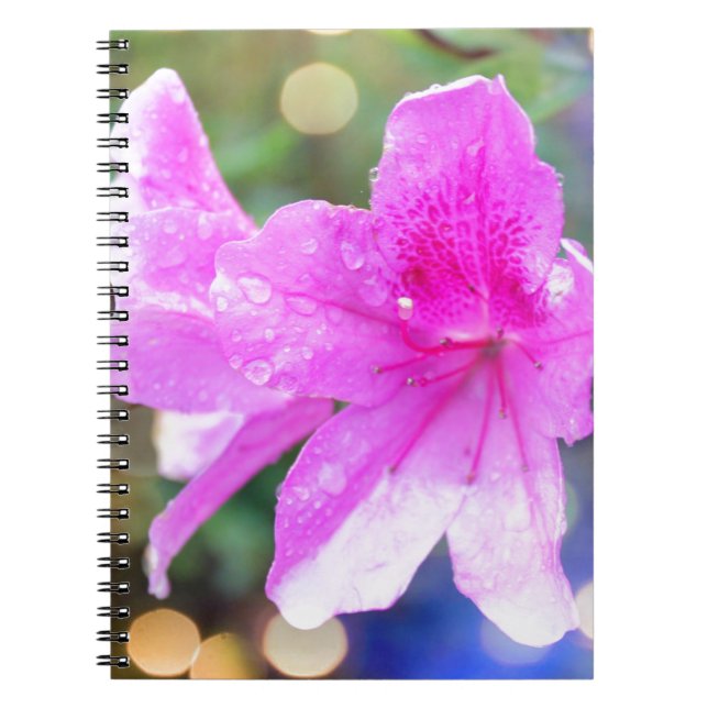 Söt rosa trädgårdsblommor. Blommigt botaniskt foto Anteckningsbok (Framsidan)