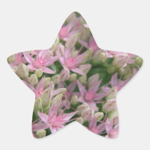 Söt Rosa Tropical Flowers Sticker Stjärnformat Klistermärke