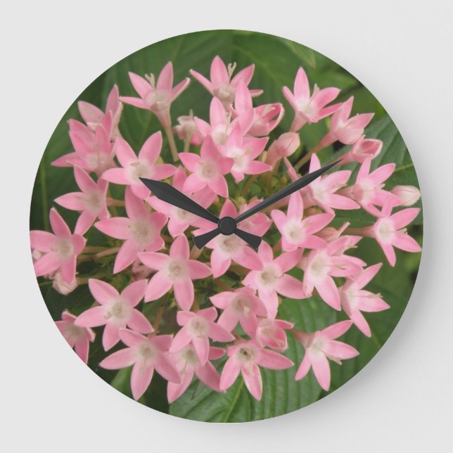 Söt Rosa Tropical Flowers Wall Clock Stor Klocka (Framsida)
