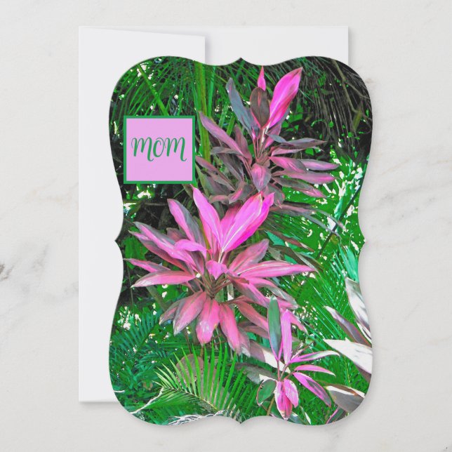 SÖT ROSA TROPISKA ANLÄGGNINGAR OCH HANDFLATAN LÖV (Framsida)