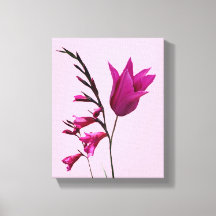 Söt rosa tulip-blomma - modern blommigt konst