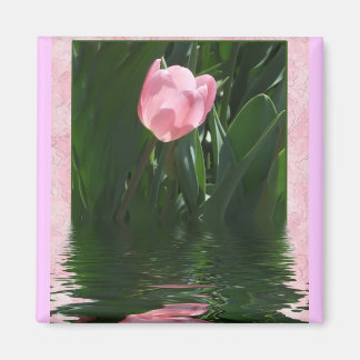 Söt Rosa Tulip Magnet