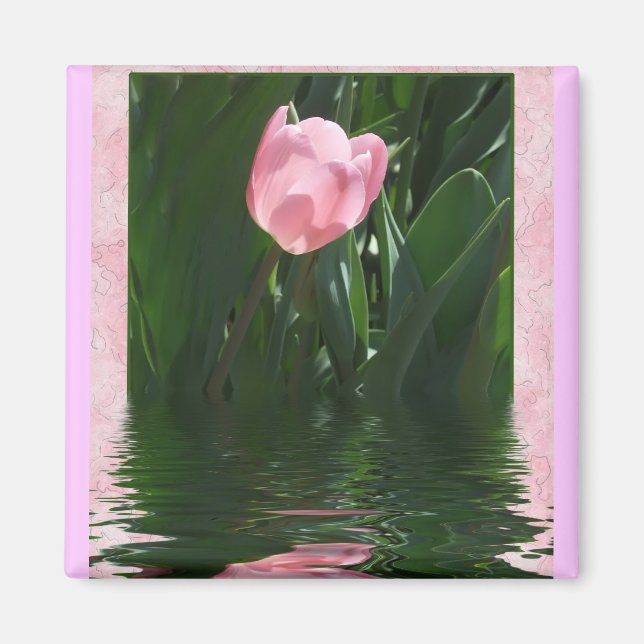 Söt Rosa Tulip Magnet (Framsidan)