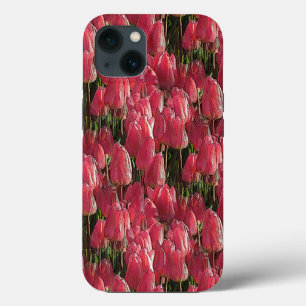 Söt Rosa Tulips