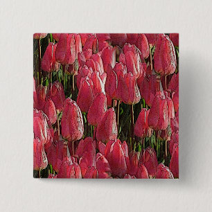 Söt Rosa Tulips Knapp