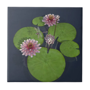 Söt Rosa Vatten Lily och Dragonfly Kakelplatta