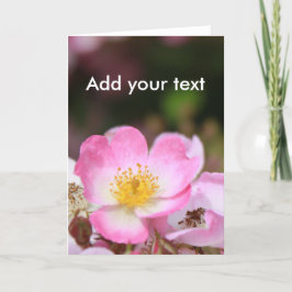söt rosa vild ro blommor för dam helgkort