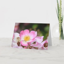söt rosa vild ro blommor för dam helgkort