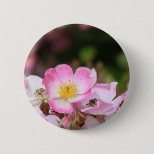 söt rosa vild ro blommor för dam knapp