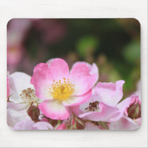 söt rosa vild ro blommor för dam musmatta