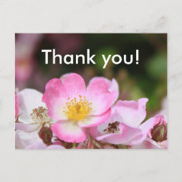 söt rosa vild ro blommor för dam vykort