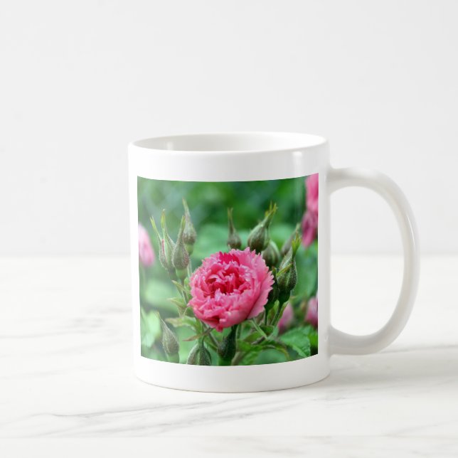 söt rosa vild ro buskar och blommor kaffemugg (Höger)
