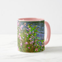 Söt rosa vilda blommor, flod, naturliga blommor
