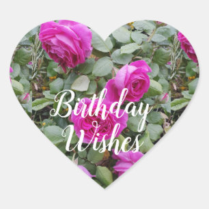 Söt Rosa Vintage Ro Flower Birday Card Magn Hjärtformat Klistermärke
