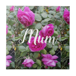 Söt Rosa Vintage Ro Flower Birthday Morsa Trink Kakelplatta