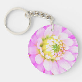 Söt Rosa, vit och Gult Cactus Dahlia Macro