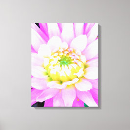 Söt Rosa, vit och Gult Cactus Dahlia Macro Canvastryck