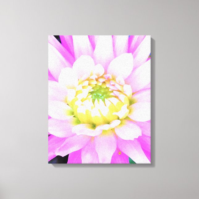 Söt Rosa, vit och Gult Cactus Dahlia Macro Canvastryck (Framsida)