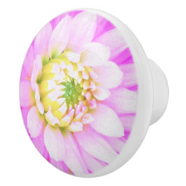 Söt Rosa, vit och Gult Cactus Dahlia Macro Knopp