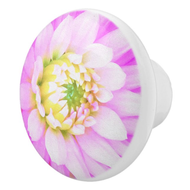 Söt Rosa, vit och Gult Cactus Dahlia Macro Knopp (Höger)