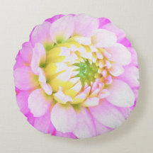 Söt Rosa, vit och Gult Cactus Dahlia Macro