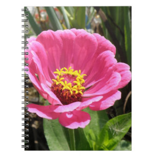 Söt Rosa Zinnia bärbar dator Anteckningsbok Med Spiral