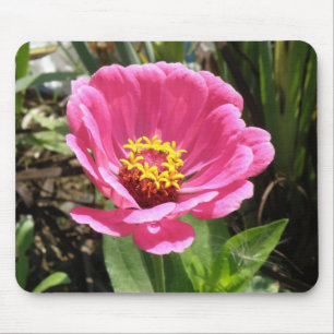 Söt Rosa Zinnia Mousepad Musmatta
