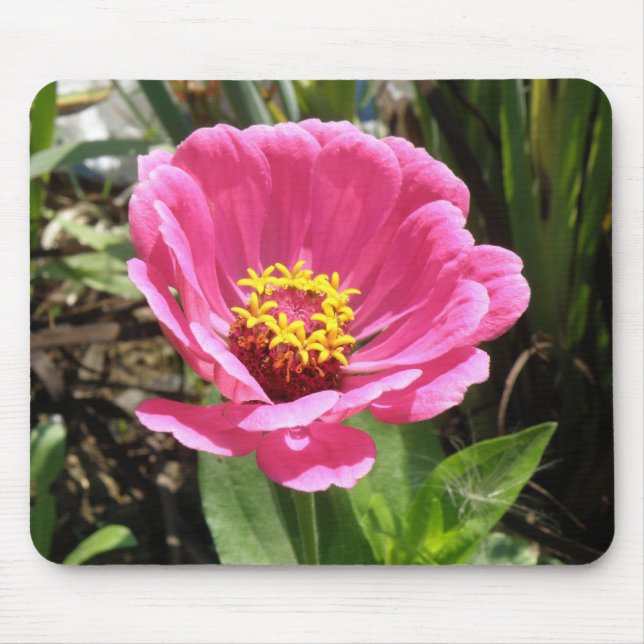 Söt Rosa Zinnia Mousepad Musmatta (Framsidan)