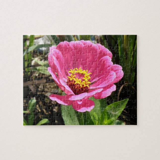 Söt Rosa Zinnia Puzzle Pussel (Horisontell)