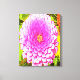 Söt Round Rosa Zinnia i sommarträdgården Canvastryck