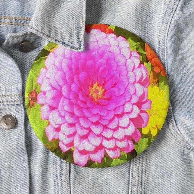 Söt Round Rosa Zinnia i sommarträdgården Knapp (In Situ)