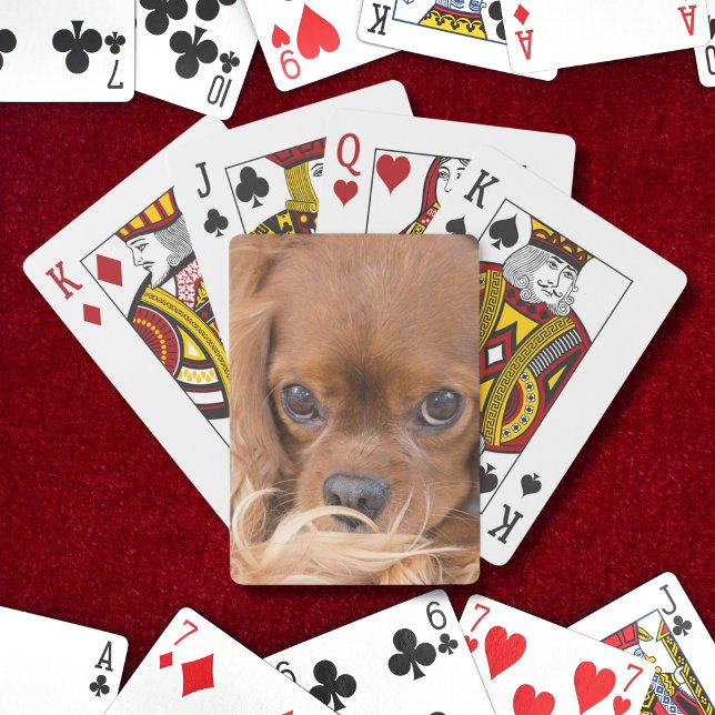 Söt Ruby Cavalier King Charles Spaniel Casinokort (Skapare uppladdad)