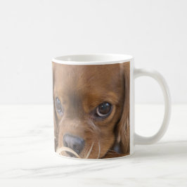 Söt Ruby Cavalier King Charles Spaniel Kaffemugg