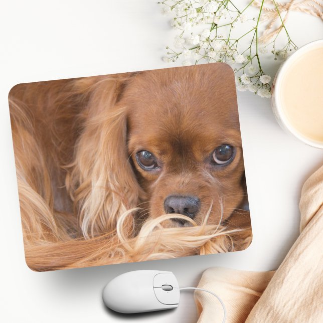 Söt Ruby Cavalier King Charles Spaniel Musmatta (Charming King Charles Spaniel Mousepad: Elevate Your Workspace with Adoration.)