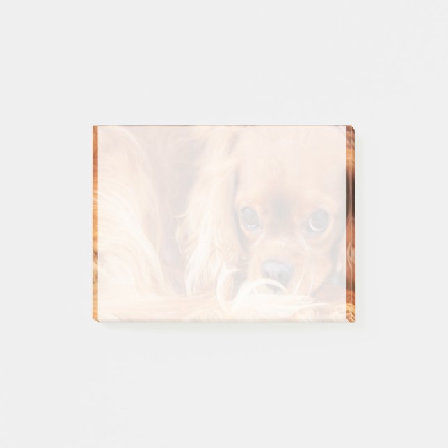 Söt Ruby Cavalier King Charles Spaniel Post-it Block (Framsida)