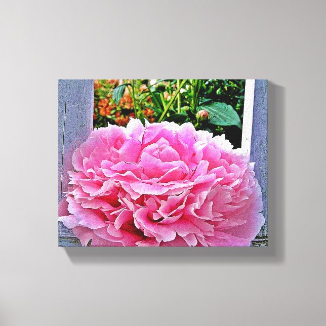 Söt Rustic Rosa Peony Flower Canvastryck (Framsida)