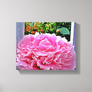 Söt Rustic Rosa Peony Flower Canvastryck