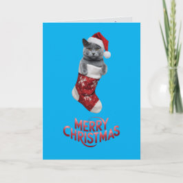 Söt rysk blå katt jul  kort