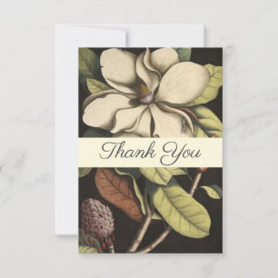 Söt Sage Cream Magnolia Blommigt Tack Kort