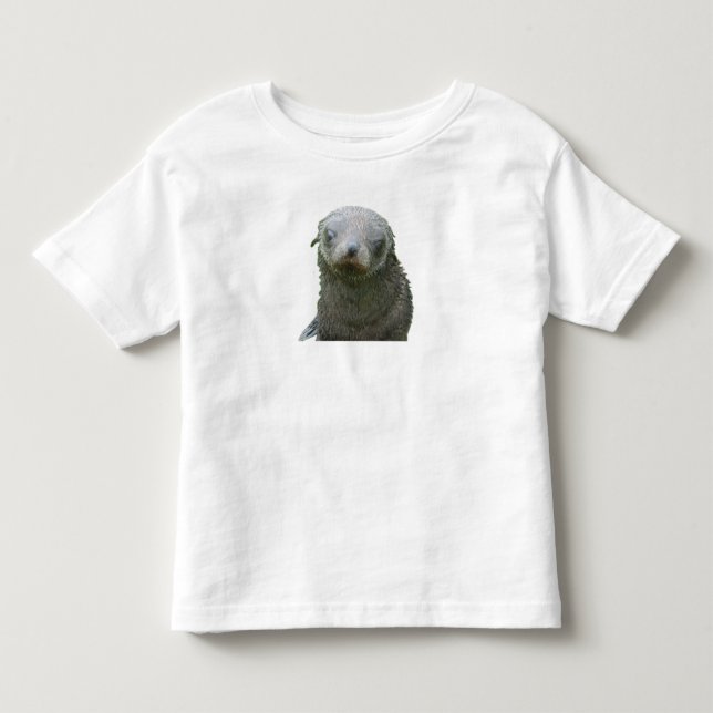 Söt säl bebis t shirt (Framsida)