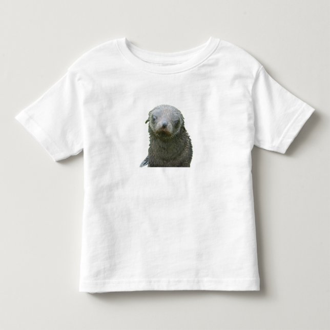 Söt säl bebis t shirt (Framsida)