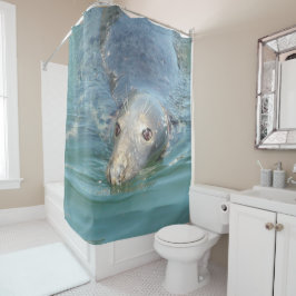 Söt säl från Cape Cod duschdraperi
